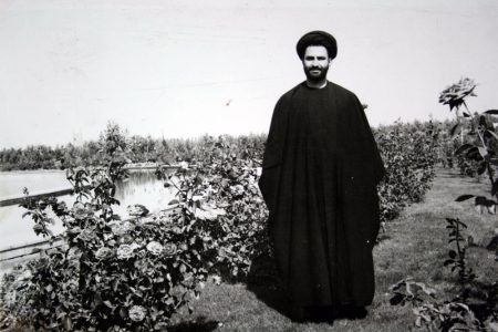 سید محمود مرعشی نجفی