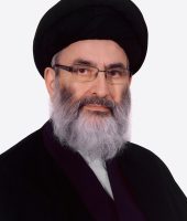 دکتر سید محمود مرعشی نجفی